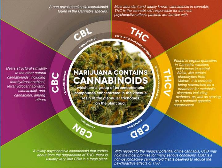 Marijuana Health Benefits