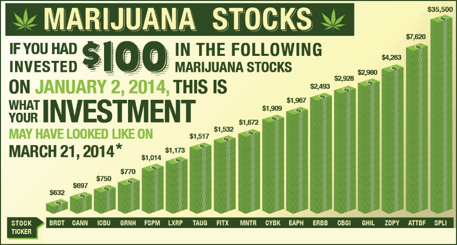 Marijuana Stock