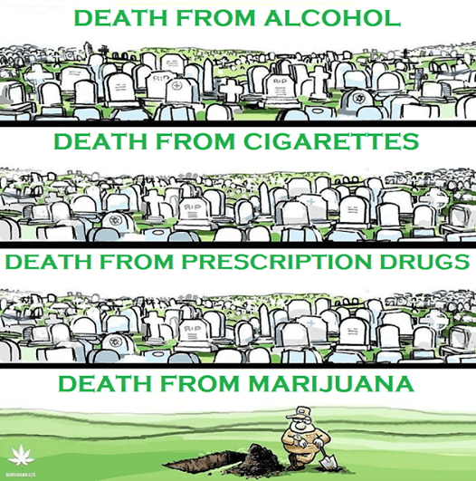 Deaths Marijuana
