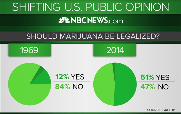 Should Marijuana Be Legalized Infographic