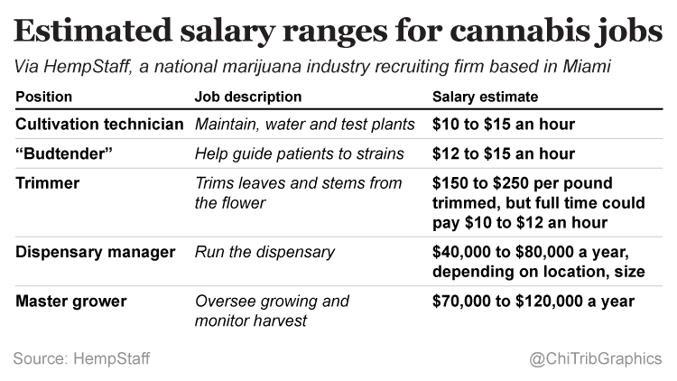 Marijuana Jobs